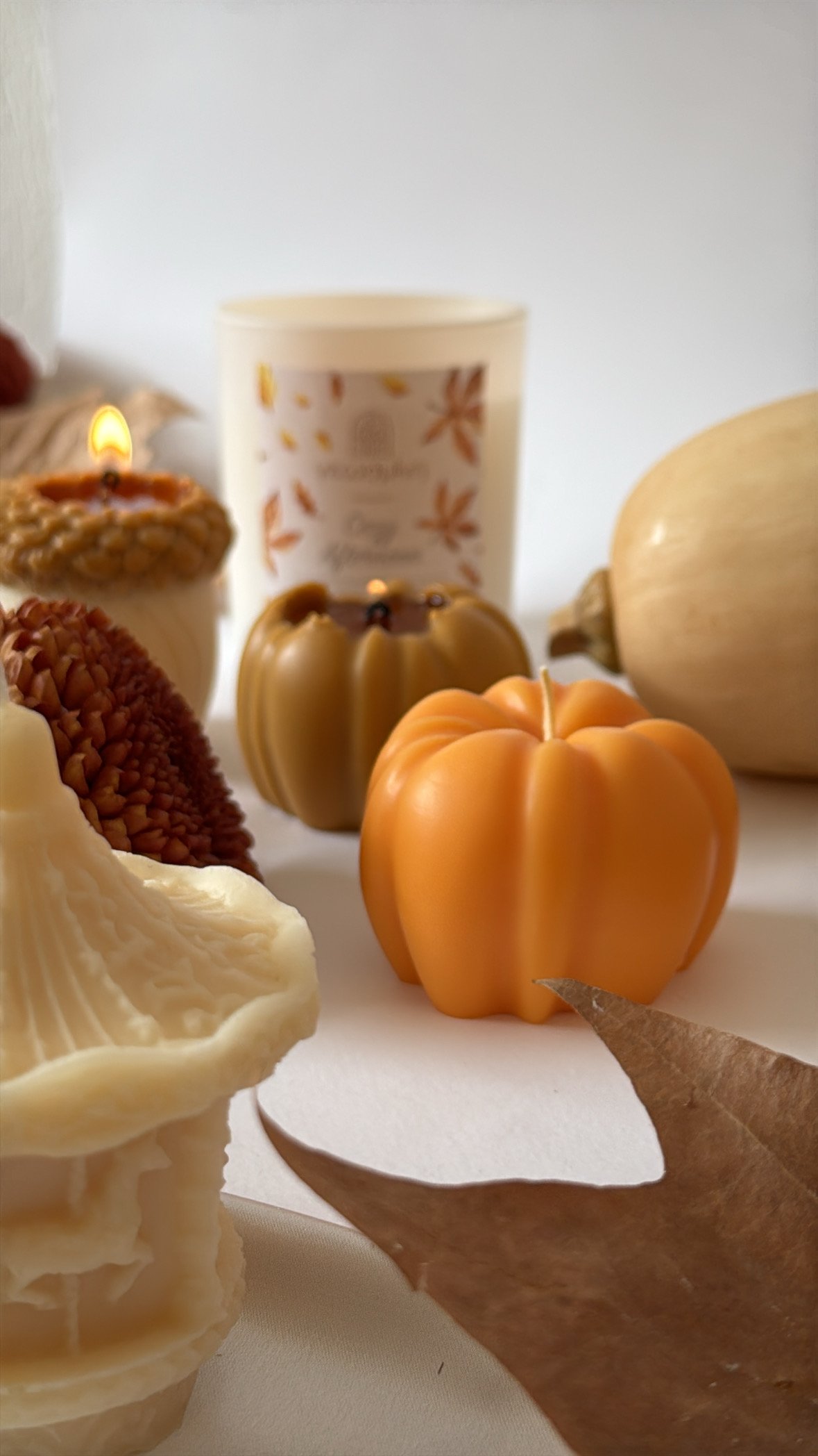 AEE708D8-EA7E-416C-83E4-6B9F774B9A6A